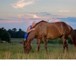Land Listing Agent Photo