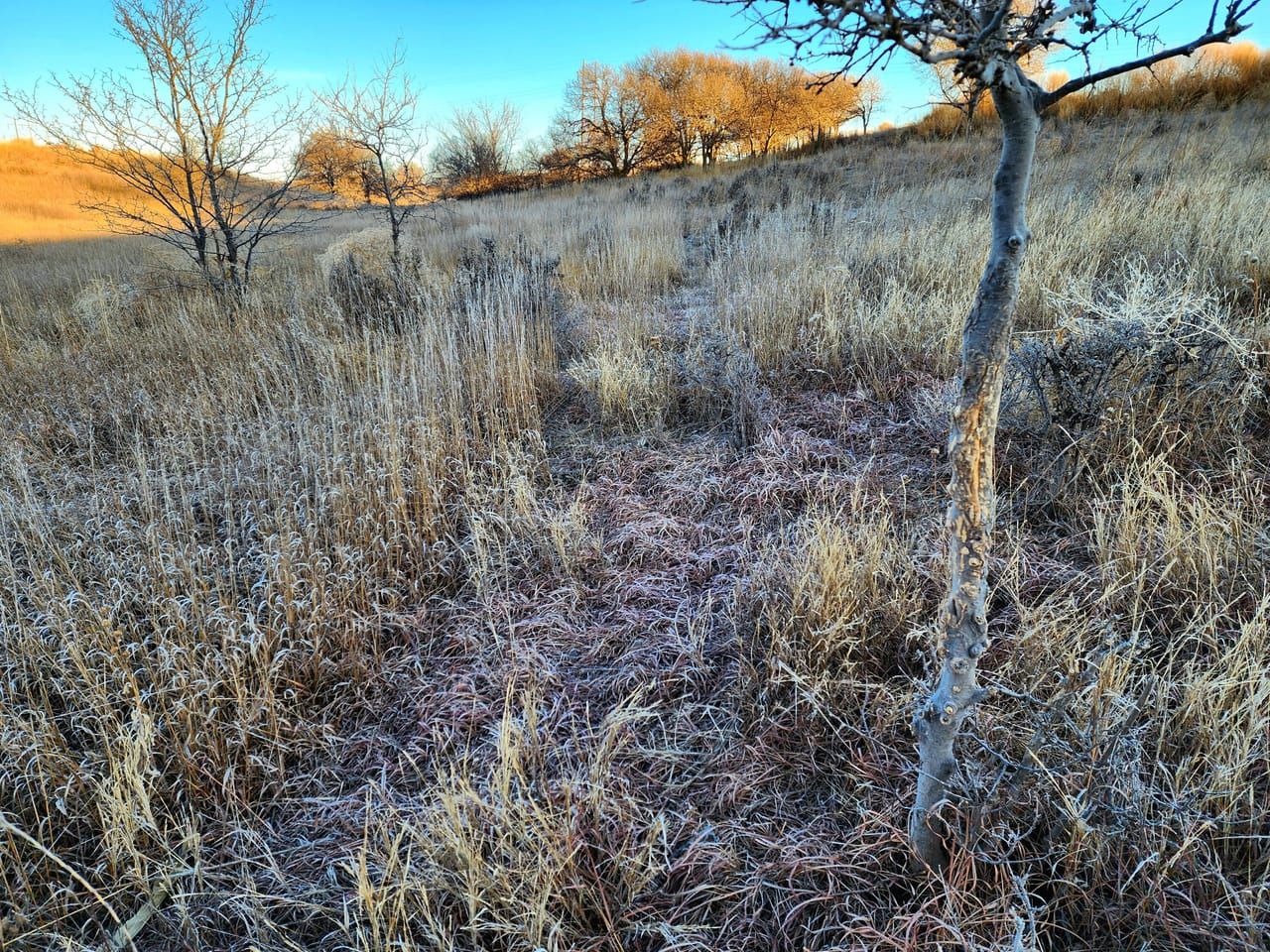 Land Listing Agent Photo