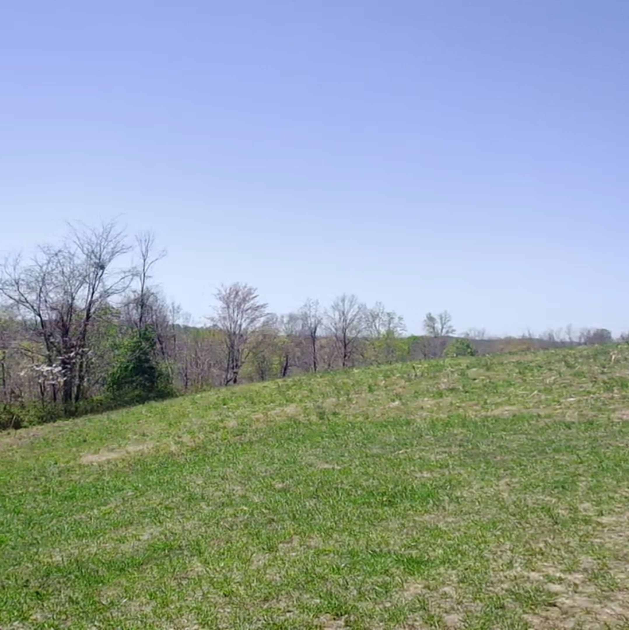 Land Listing Agent Photo