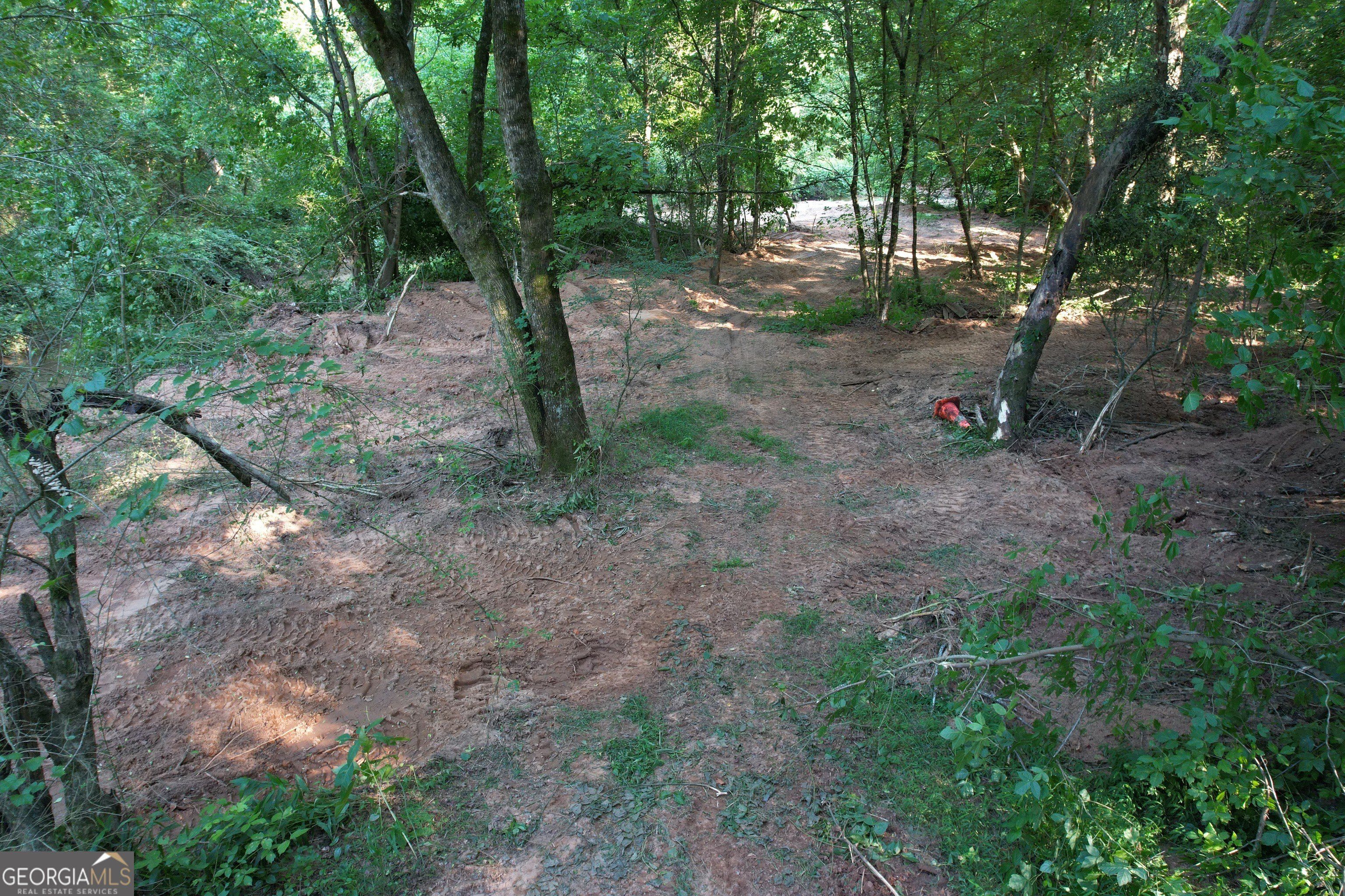 Land Listing Agent Photo