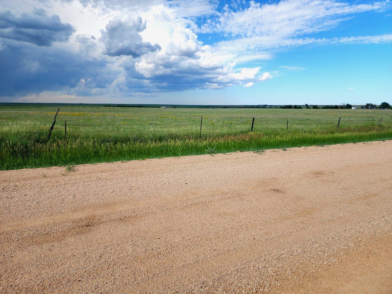 Land Listing Agent Photo