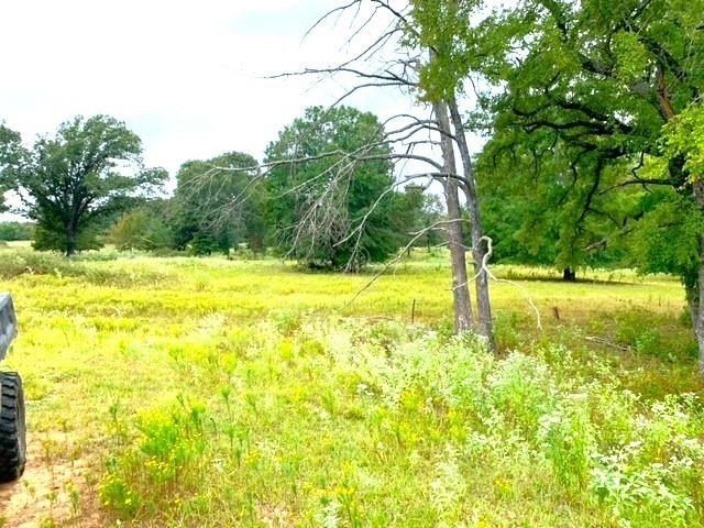Land Listing Agent Photo