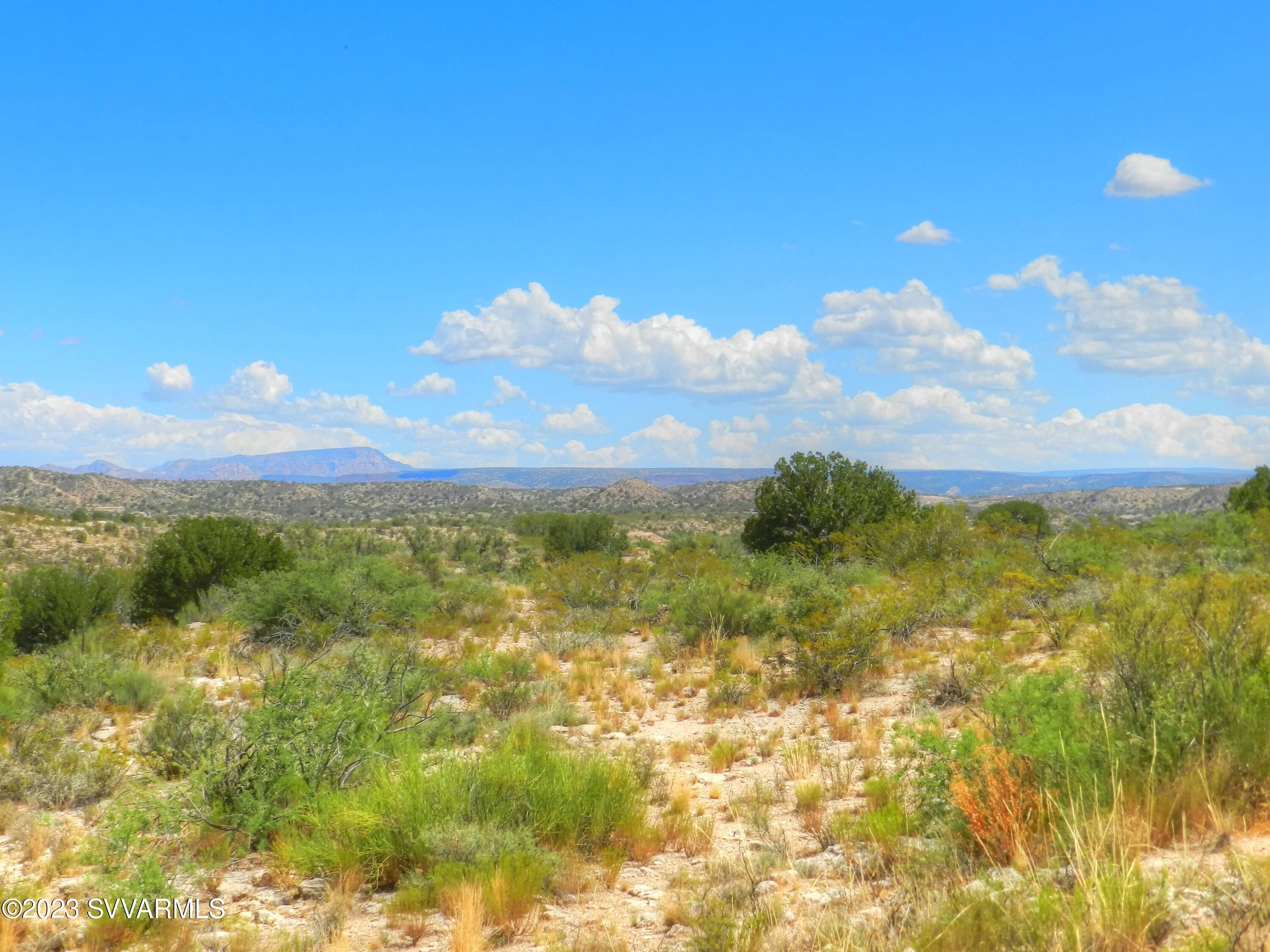 Land Listing Agent Photo