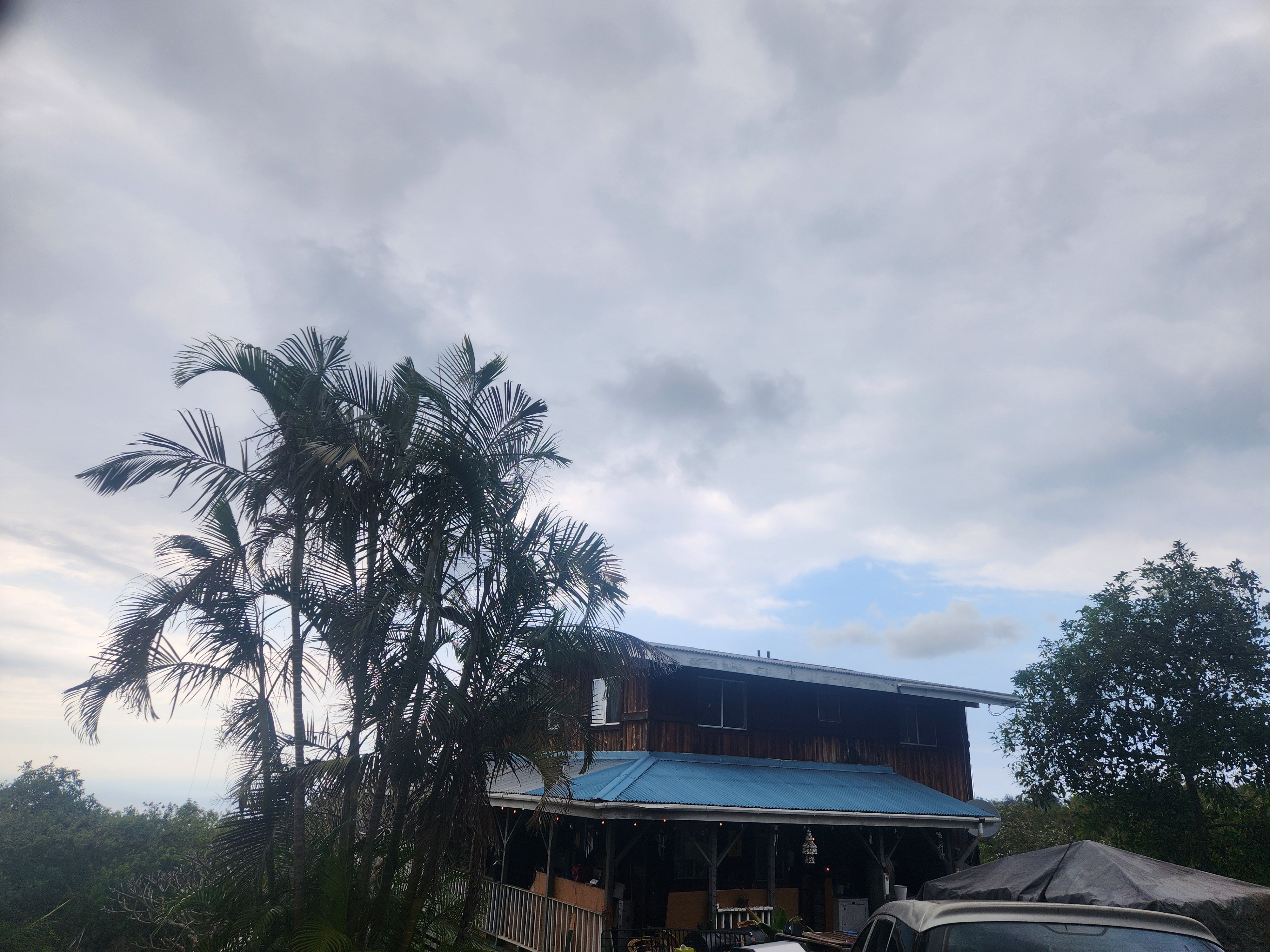 Land Listing Agent Photo