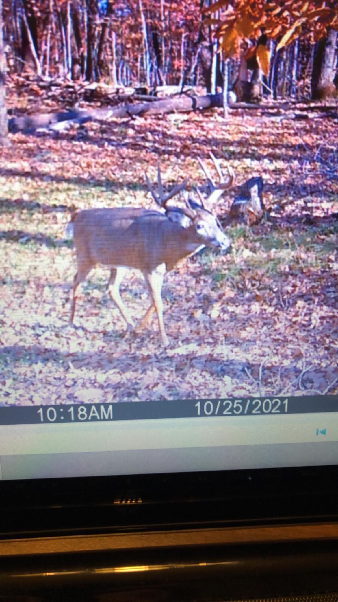 Land Listing Agent Photo