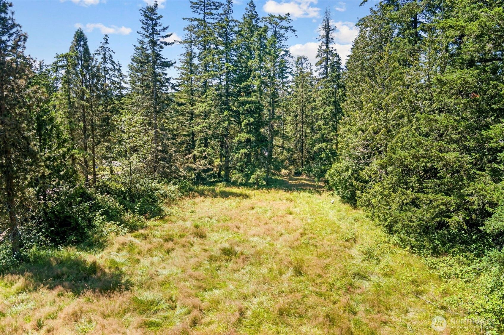 Land Listing Agent Photo
