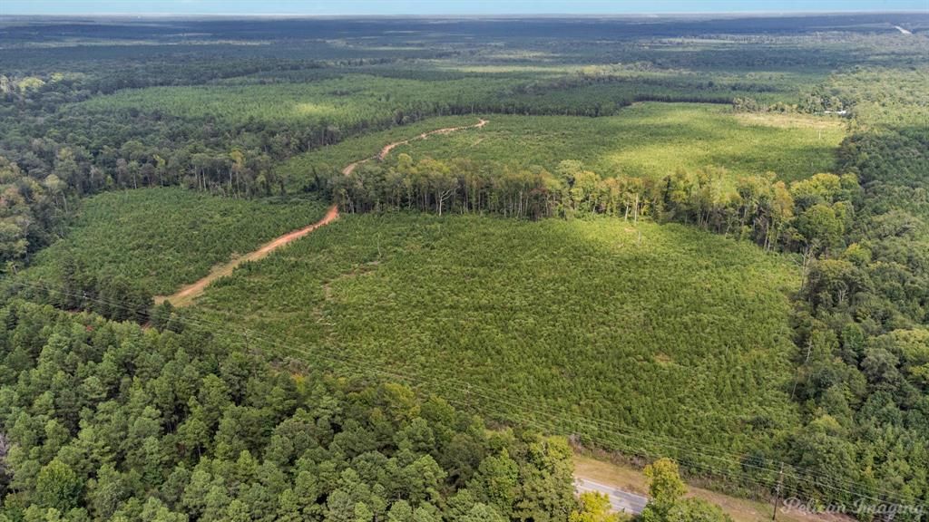 Land Listing Agent Photo