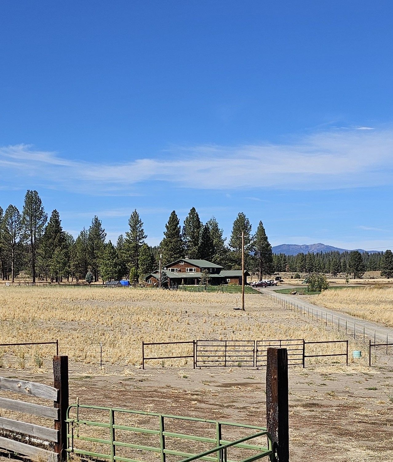 Land Listing Agent Photo