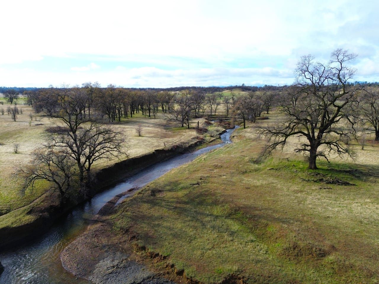 Land Listing Agent Photo