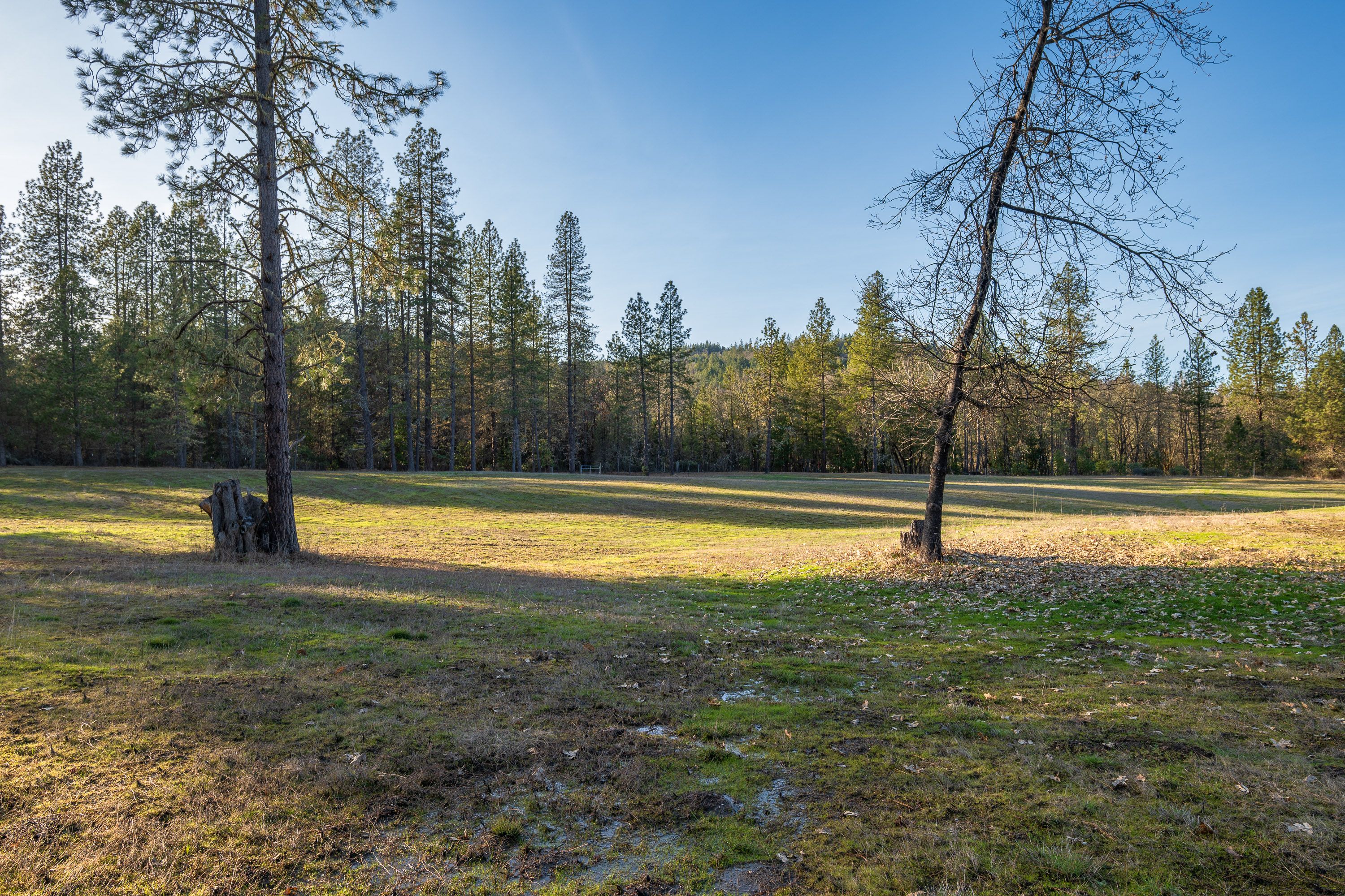 Land Listing Agent Photo