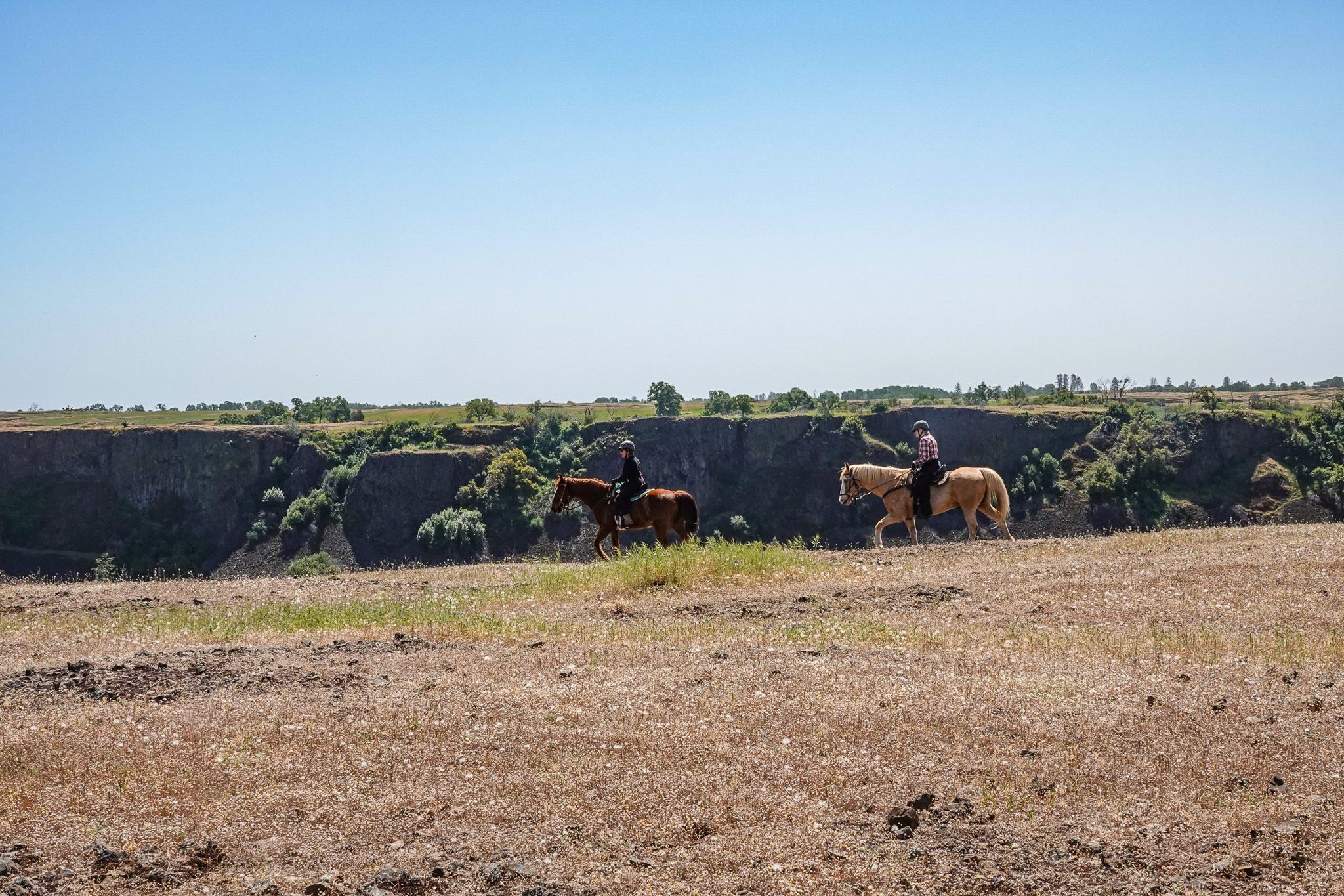 Land Listing Agent Photo