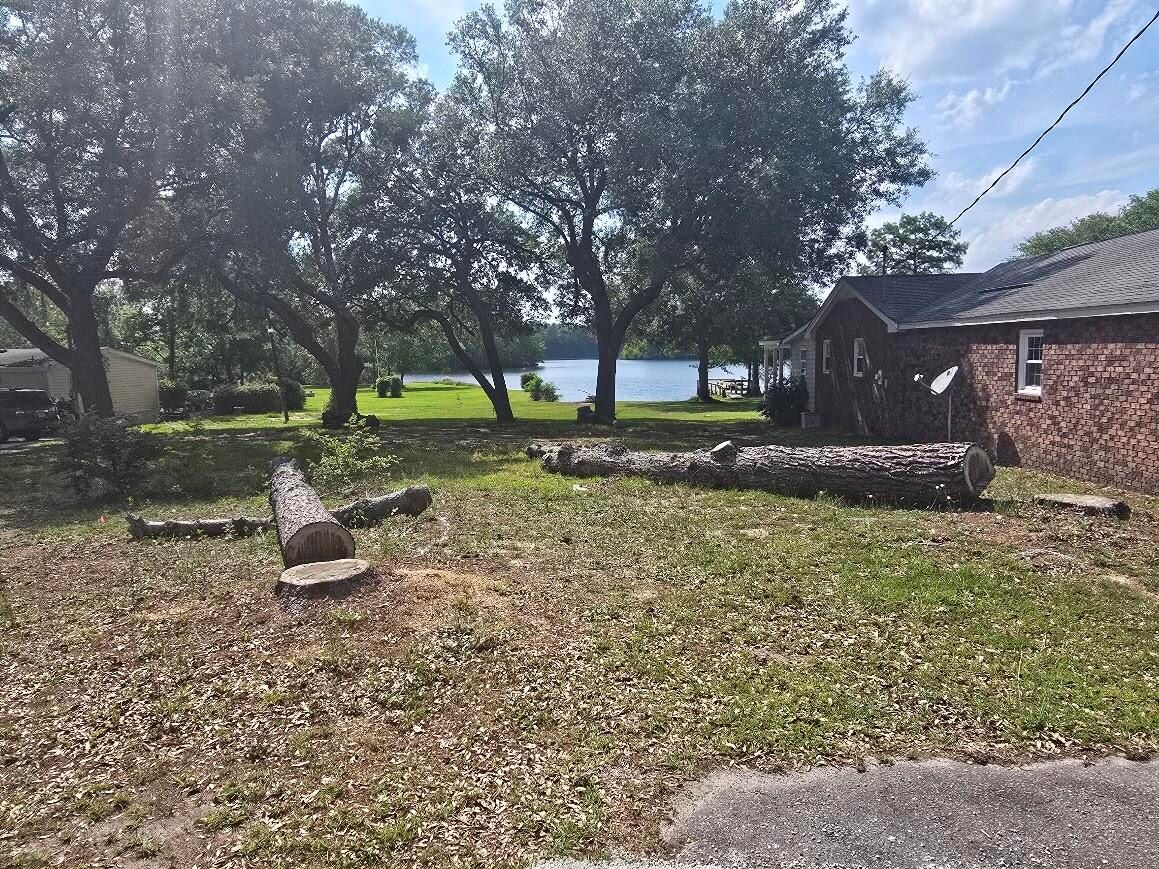 Land Listing Agent Photo