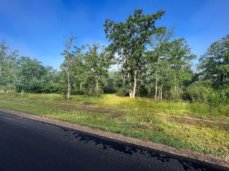 Land Listing Agent Photo