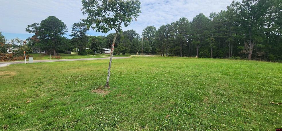 Land Listing Agent Photo