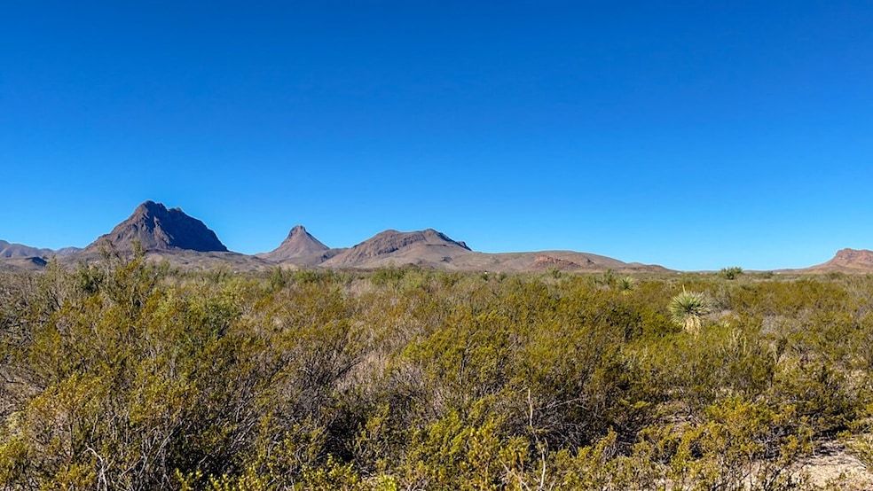 Land Listing Agent Photo