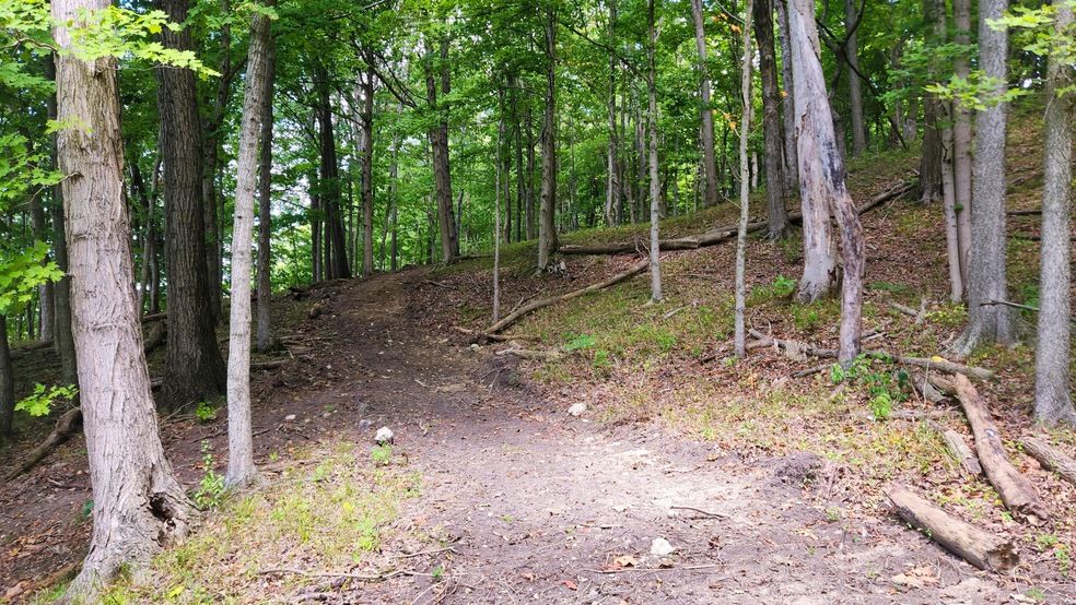 Land Listing Agent Photo
