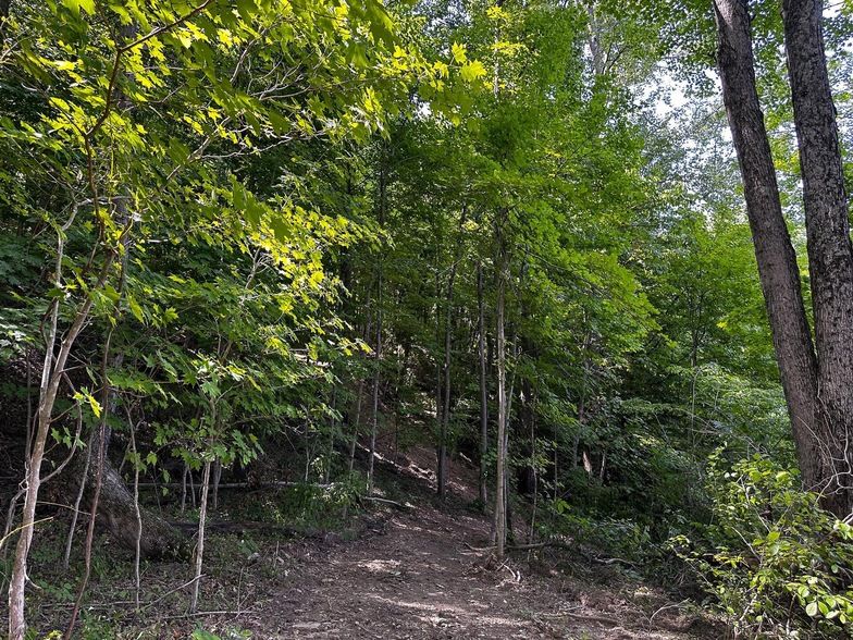 Land Listing Agent Photo