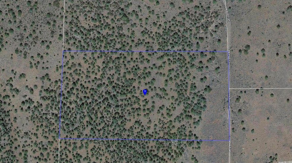 Land Listing Agent Photo