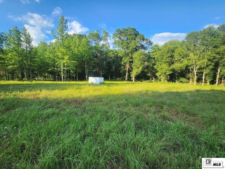 Land Listing Agent Photo