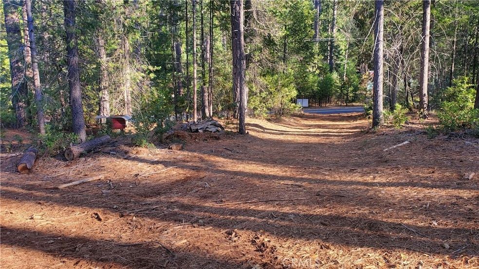 Land Listing Agent Photo