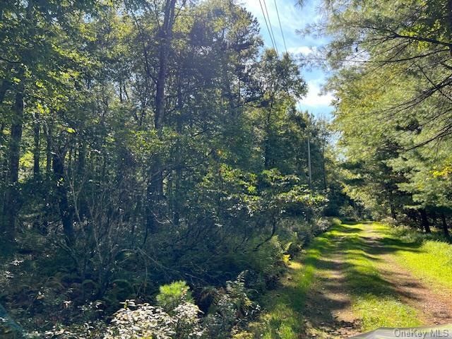 Land Listing Agent Photo