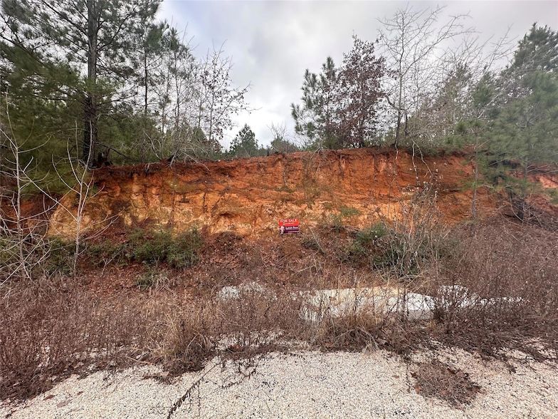 Land Listing Agent Photo