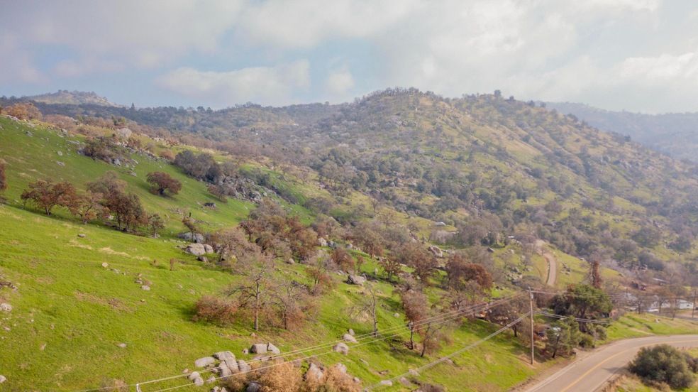 Land Listing Agent Photo