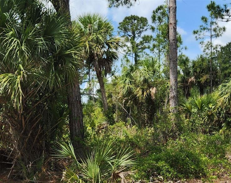 Land Listing Agent Photo