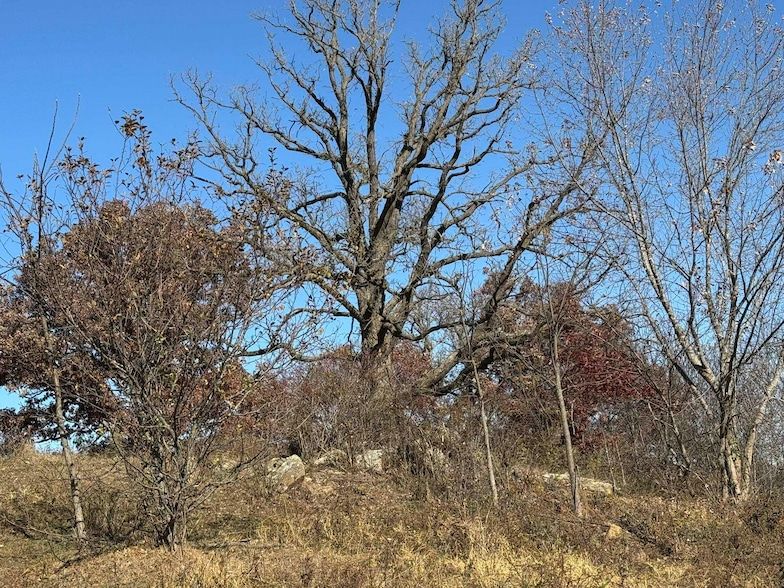Land Listing Agent Photo