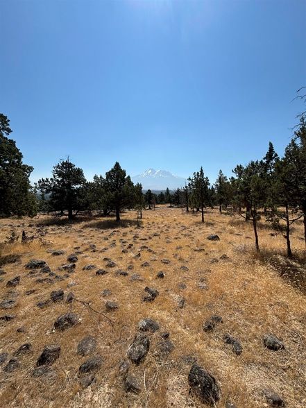 Land Listing Agent Photo
