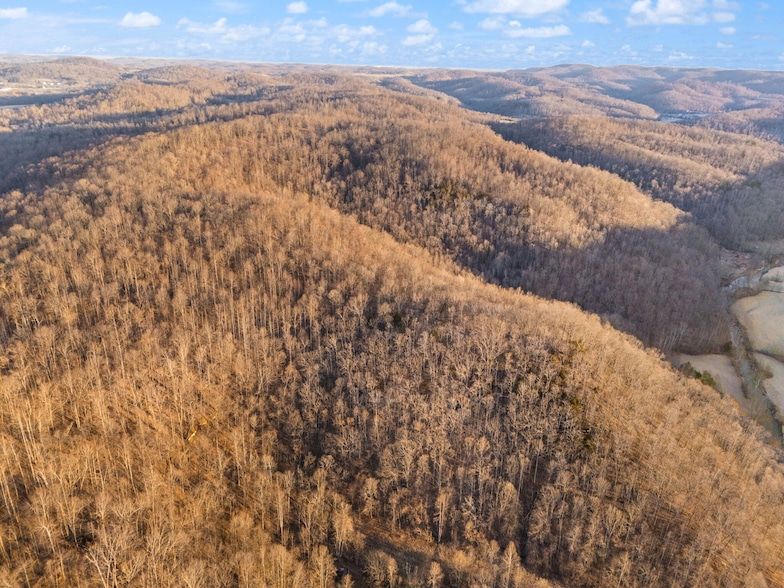 Land Listing Agent Photo