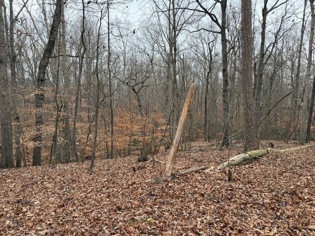 Land Listing Agent Photo
