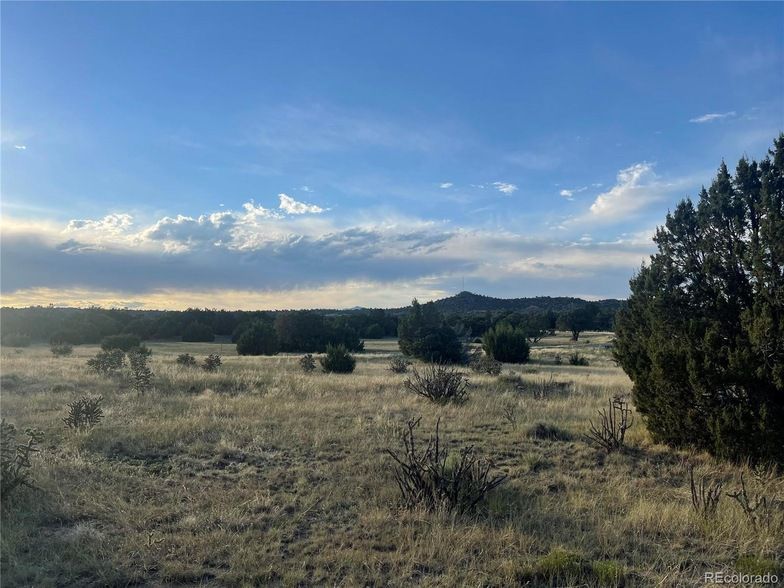 Land Listing Agent Photo