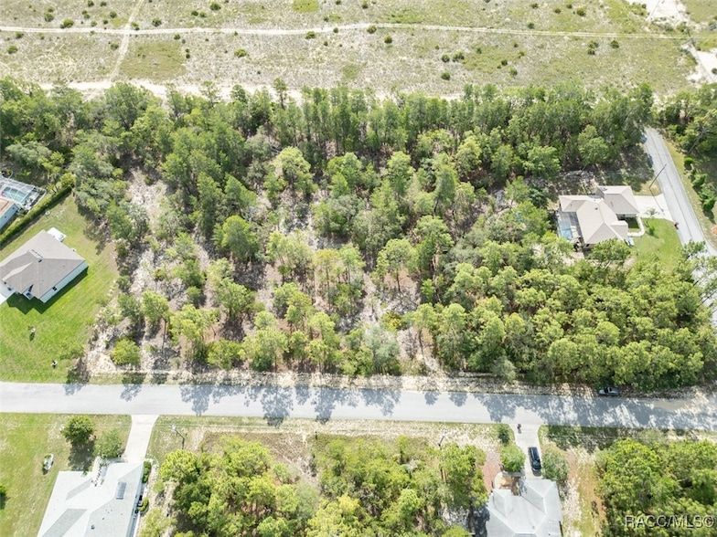 Land Listing Agent Photo