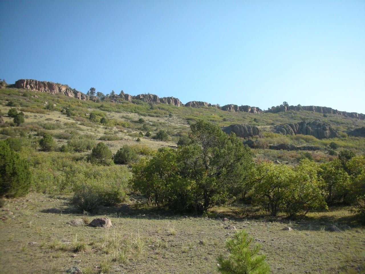 Land Listing Agent Photo