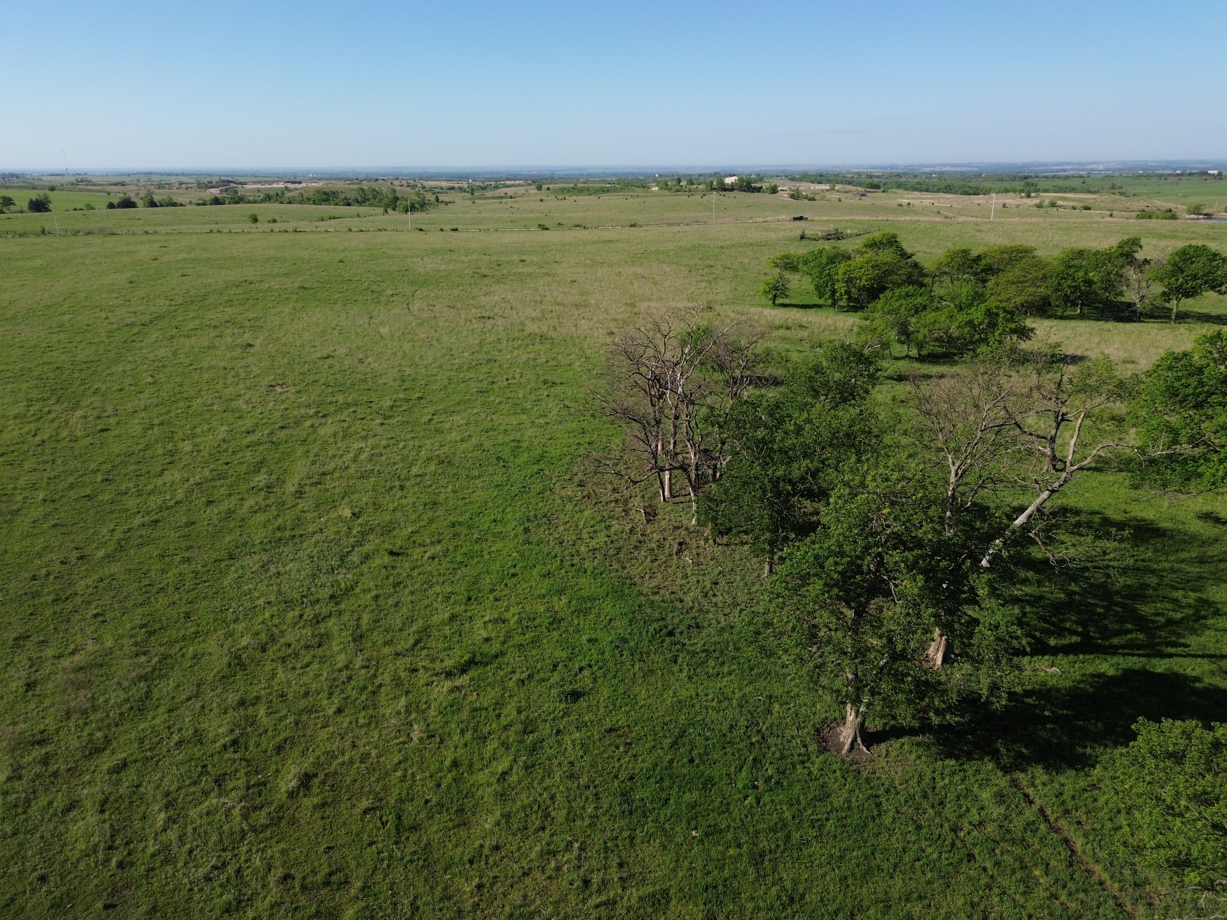 Land Listing Agent Photo