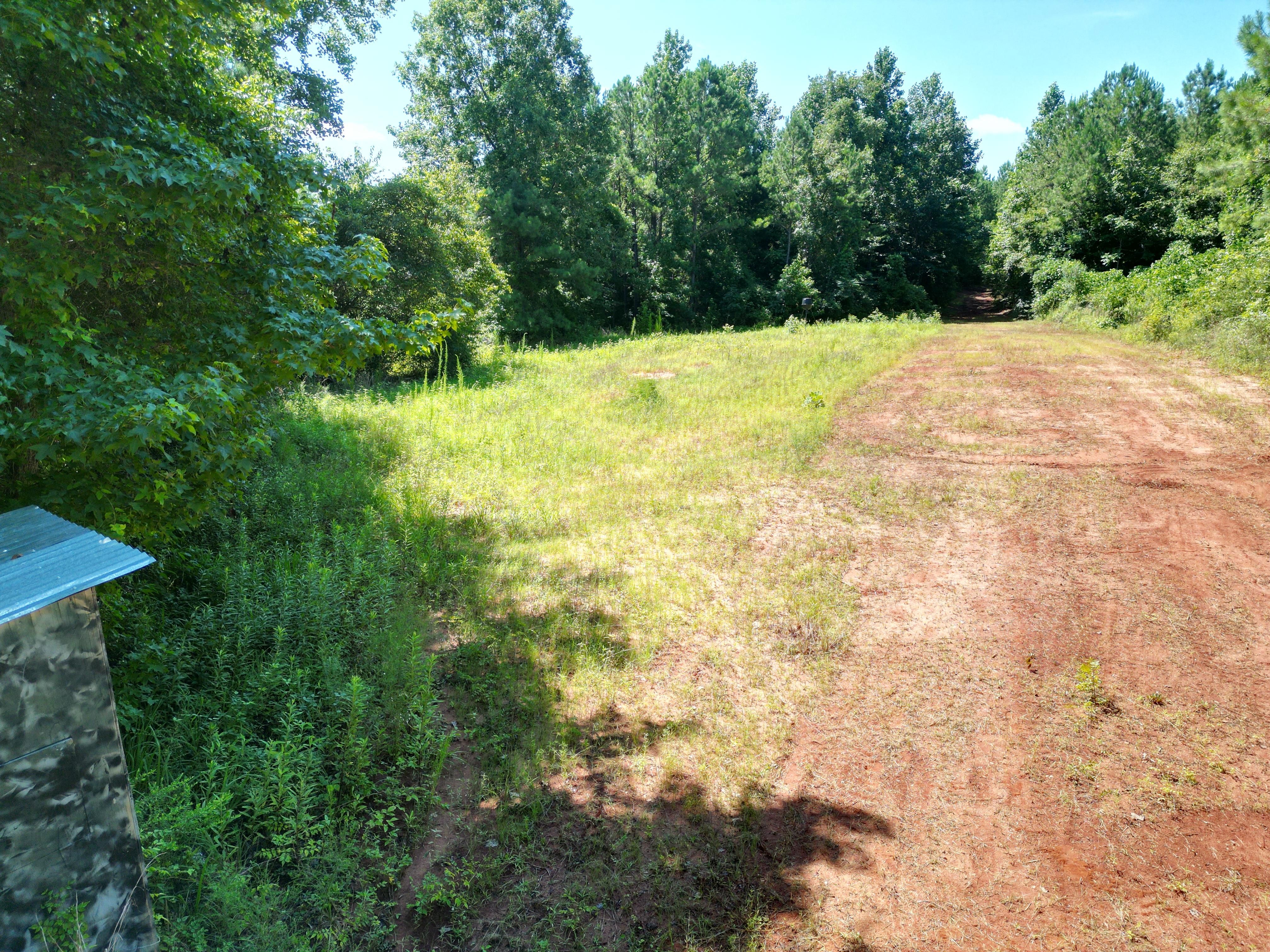 Land Listing Agent Photo