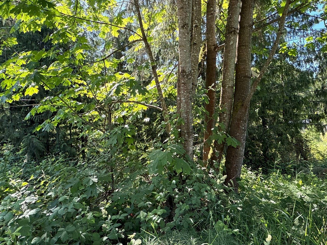 Land Listing Agent Photo