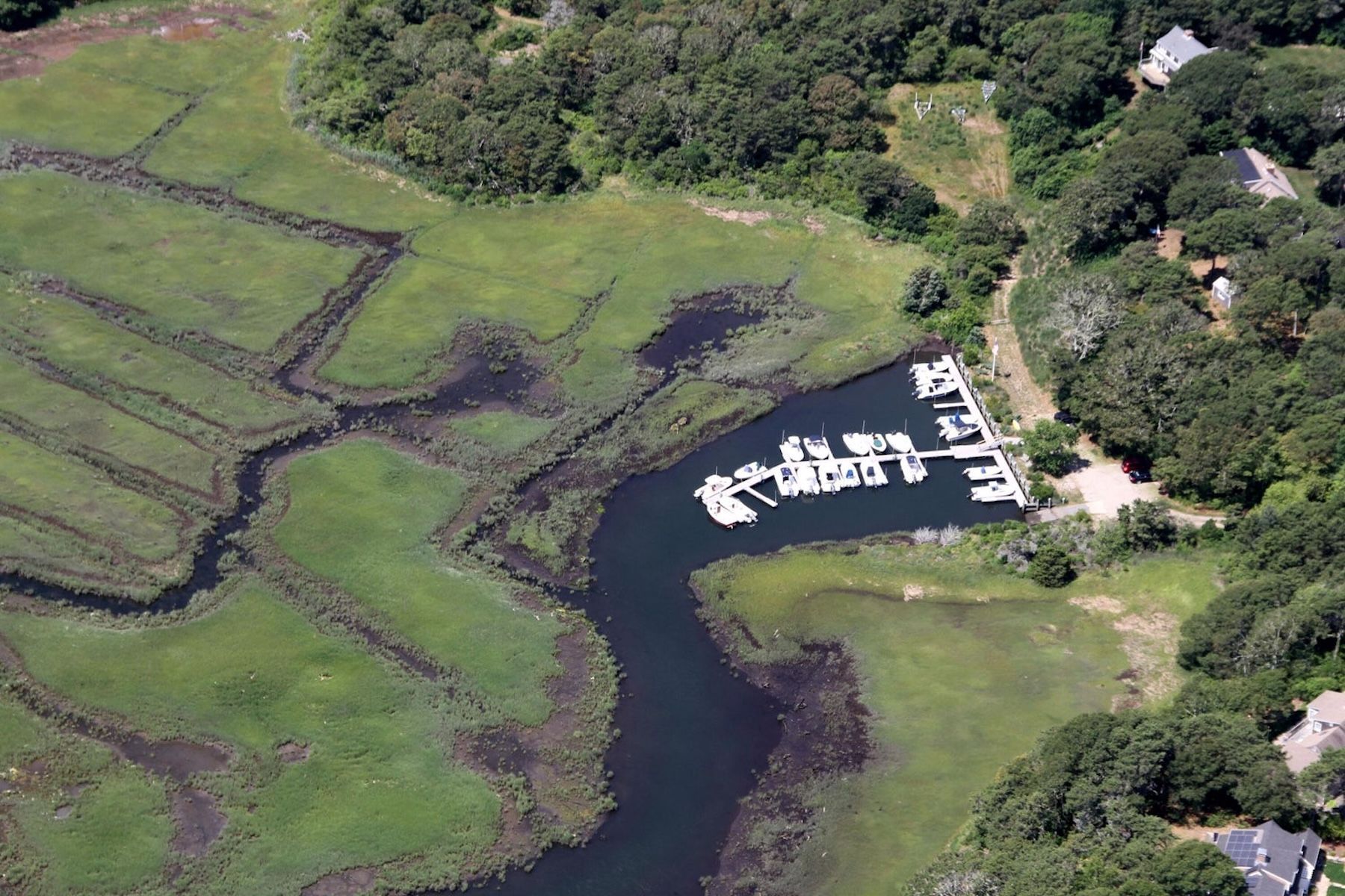 Land Listing Agent Photo