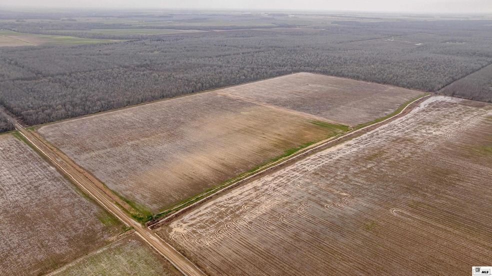 Land Listing Agent Photo