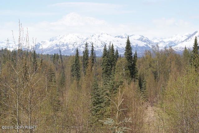 Land Listing Agent Photo