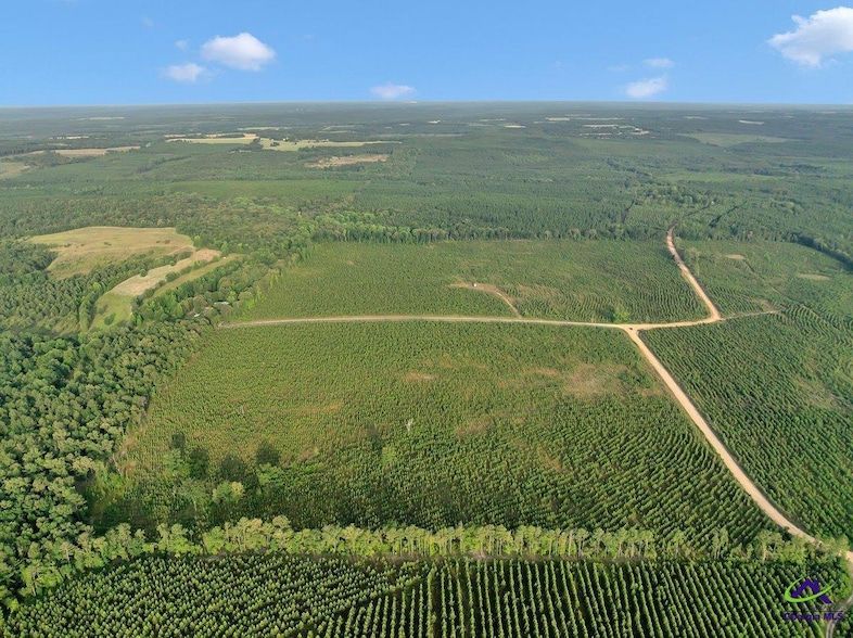 Land Listing Agent Photo