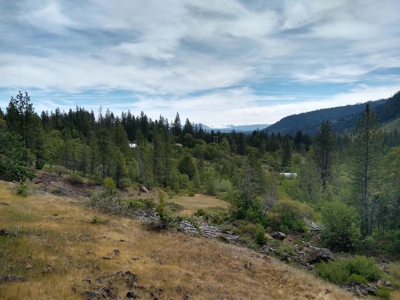 Land Listing Agent Photo