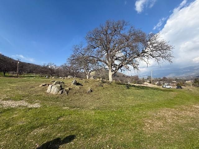 Land Listing Agent Photo