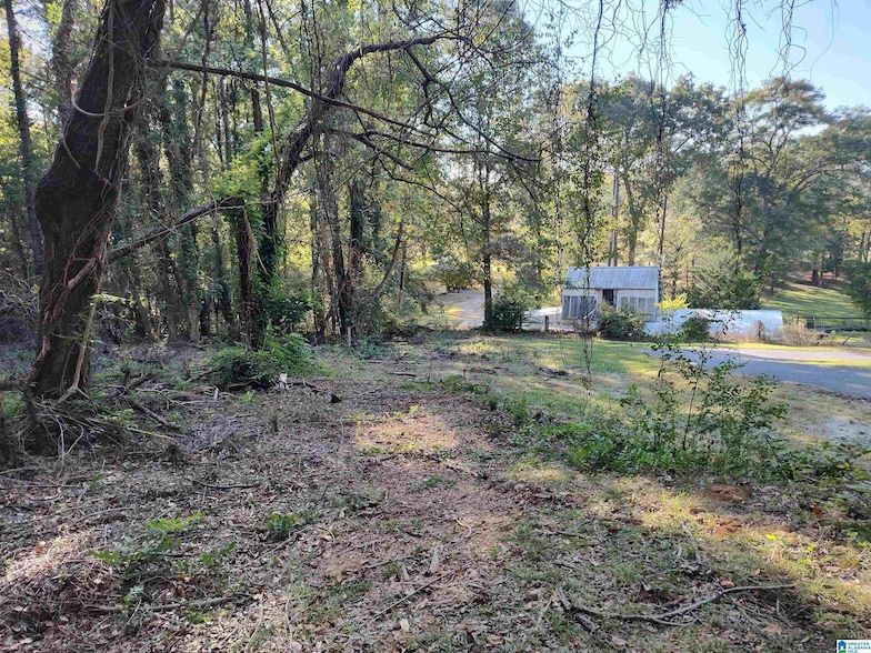 Land Listing Agent Photo