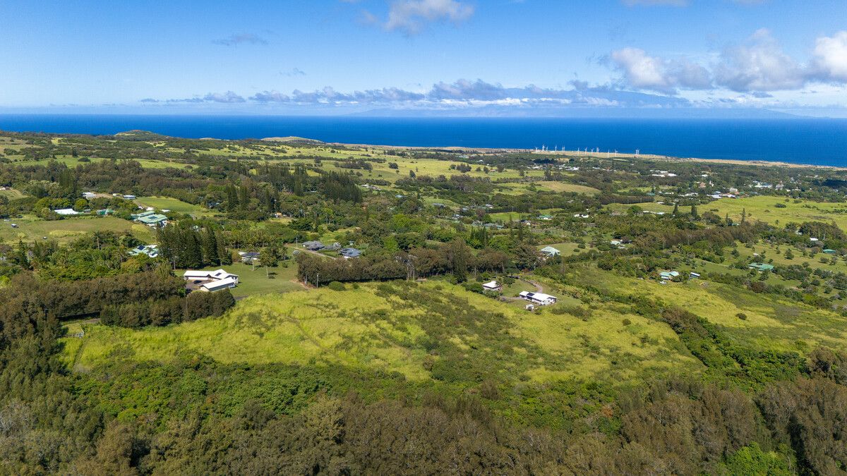Land Listing Agent Photo