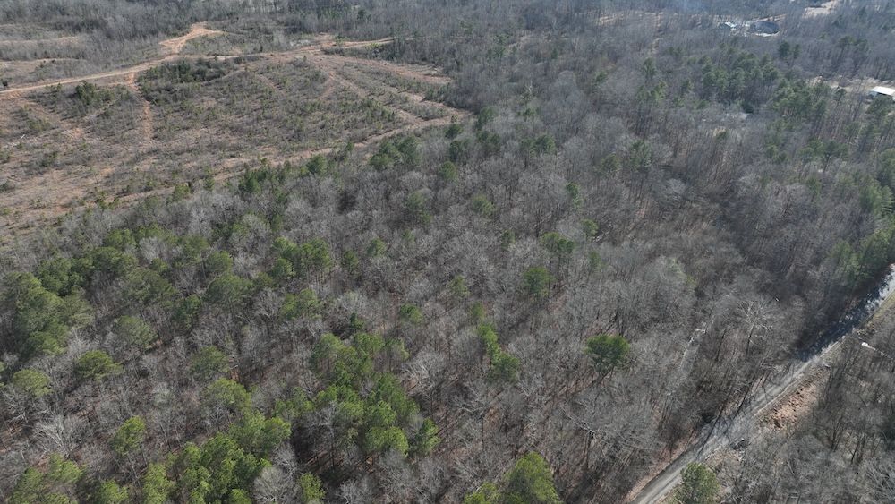 Land Listing Agent Photo