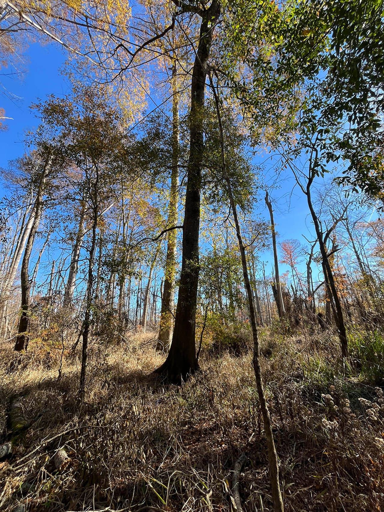 Land Listing Broker Logo