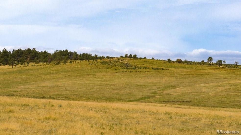 Land Listing Agent Photo