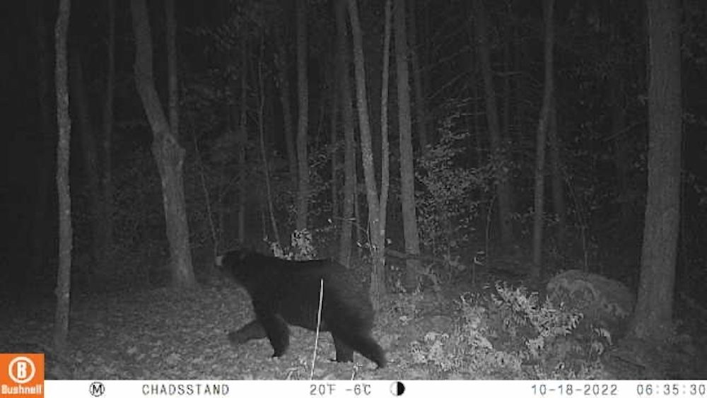 Land Listing Agent Photo